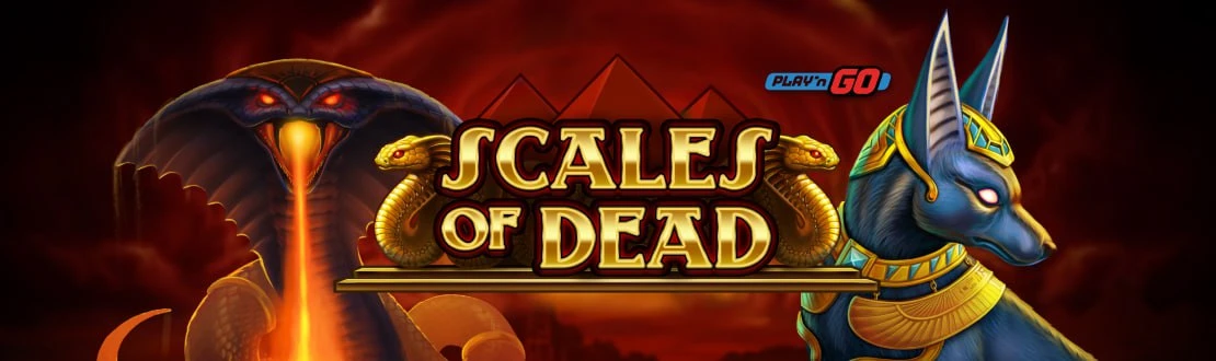 Селектор казино официальный сайт